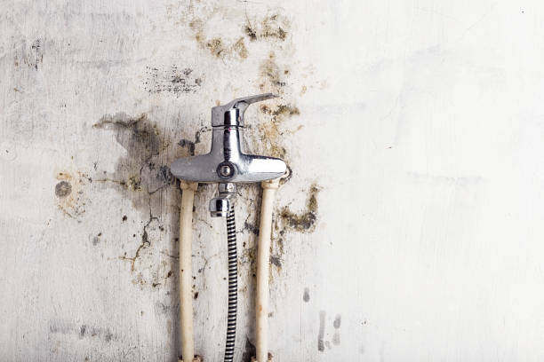 Best Mold Remediation for Schools in Mechanicville, NY