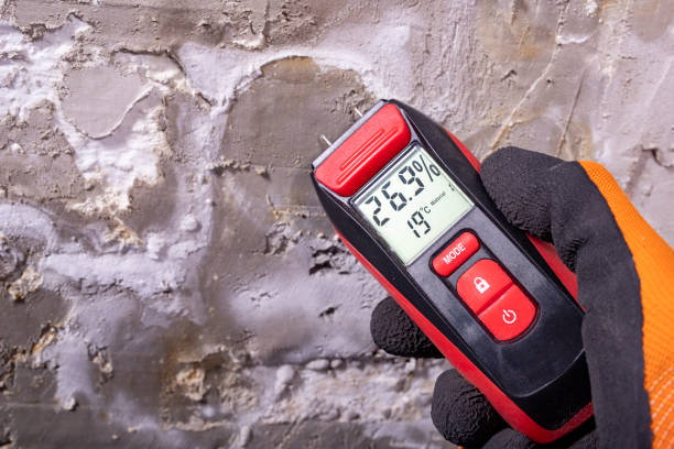 Best Kitchen Mold Remediation in Mechanicville, NY