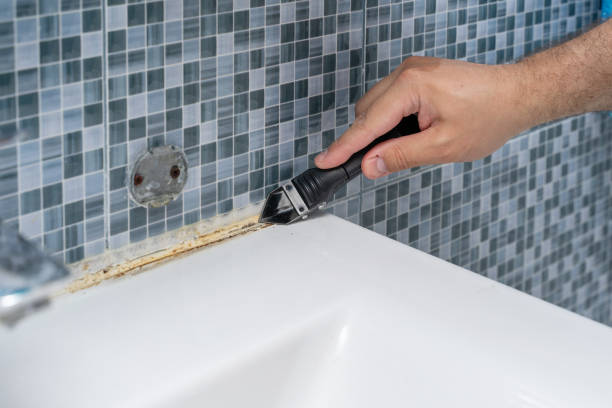 Best White Mold Remediation in Mechanicville, NY